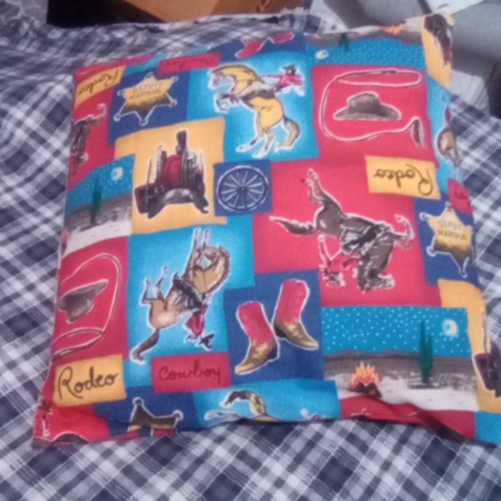 NWOT Boys Throw Pillow. Home Made
